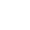 icon1